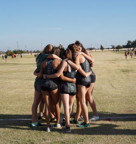 Girls Cross Country advances to state