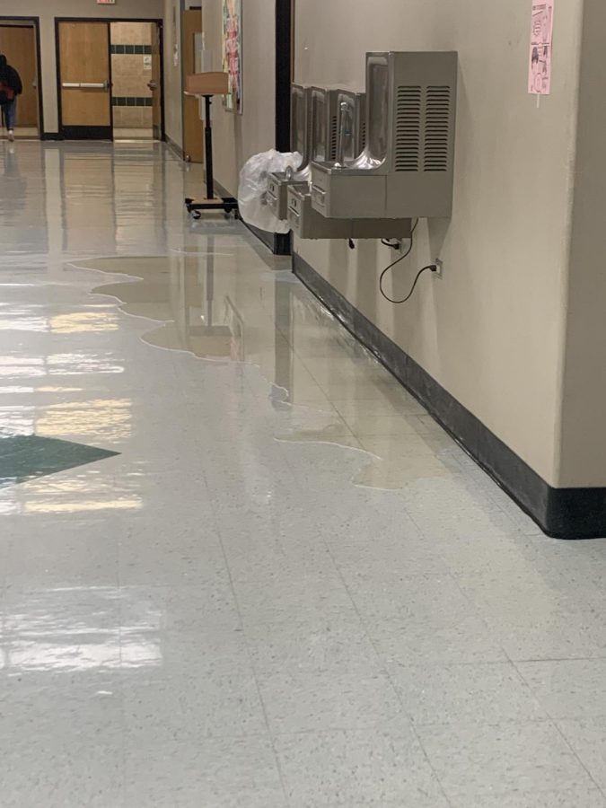 F-Hall Bathroom Leak