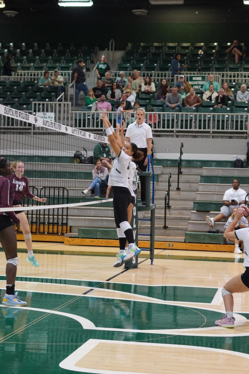 Vanessa FIsher jumps to block a spike