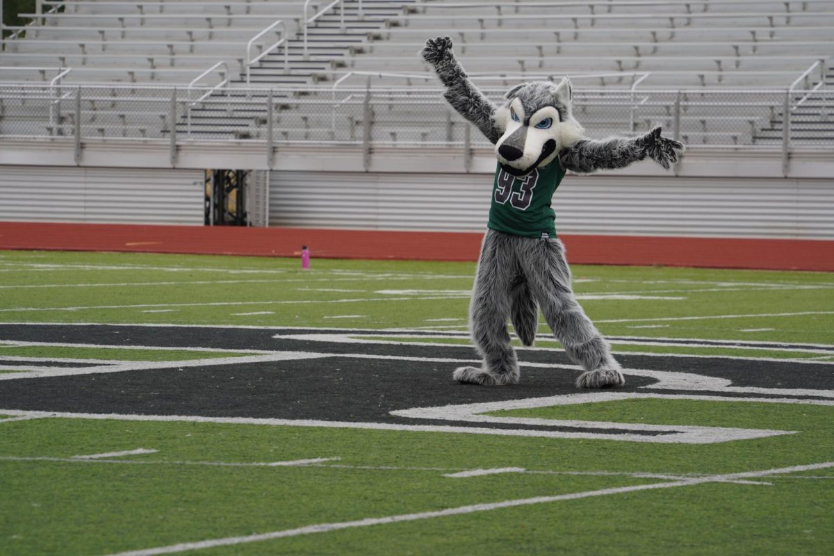 Wolfie dancing to "Firework" by Katy Perry.