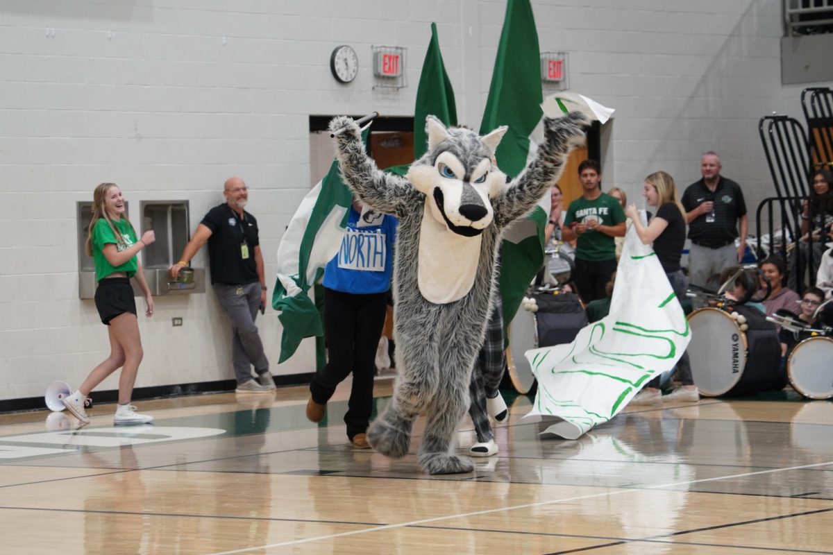 Wolfie entering the gymnasium. 