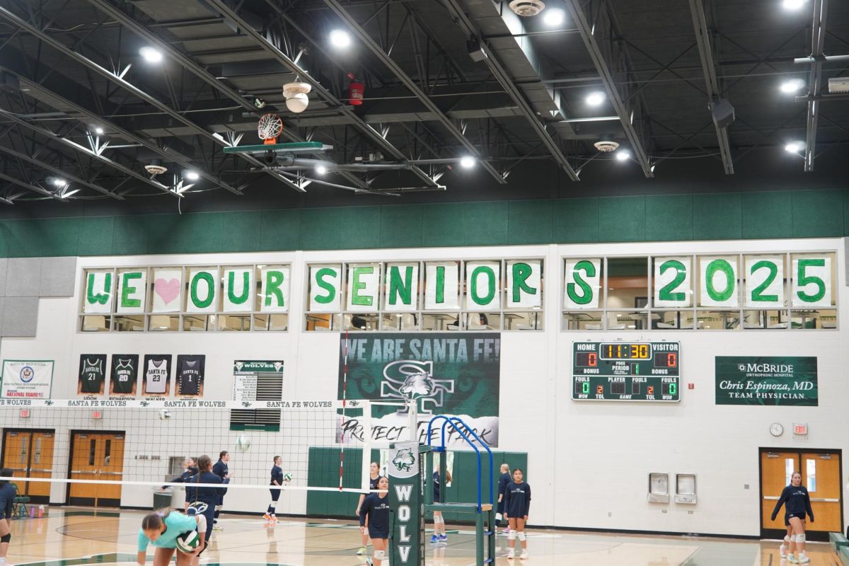 We love our seniors 2025 poster