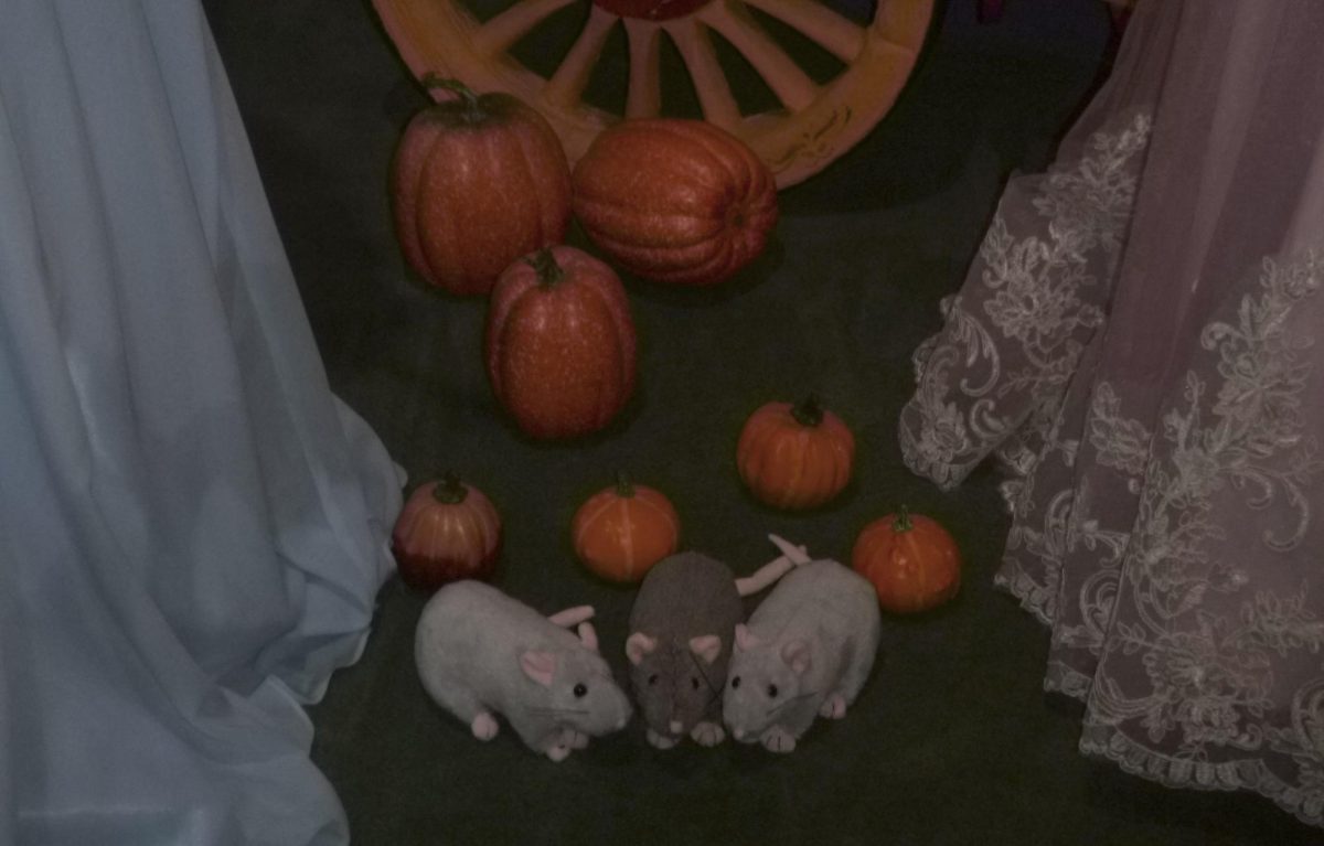 Three little mice surrounded by pumpkins at a wax museum.