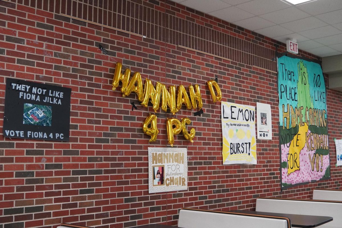 Campaign posters on back hall.