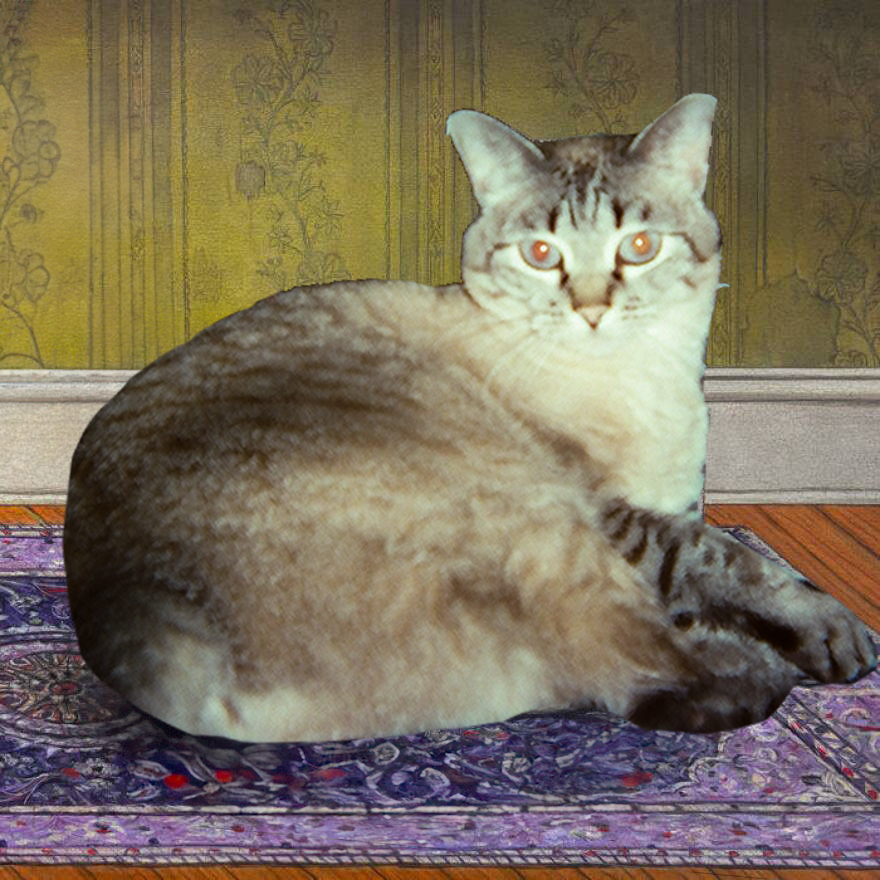 The Howler Editor-in-Chief Tristan Haley's cat Haley edited onto the album cover for Mitski's "Nothing's About to Happen to Me."